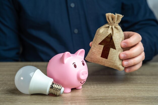 Piggy bank with energy saving lamp on grass